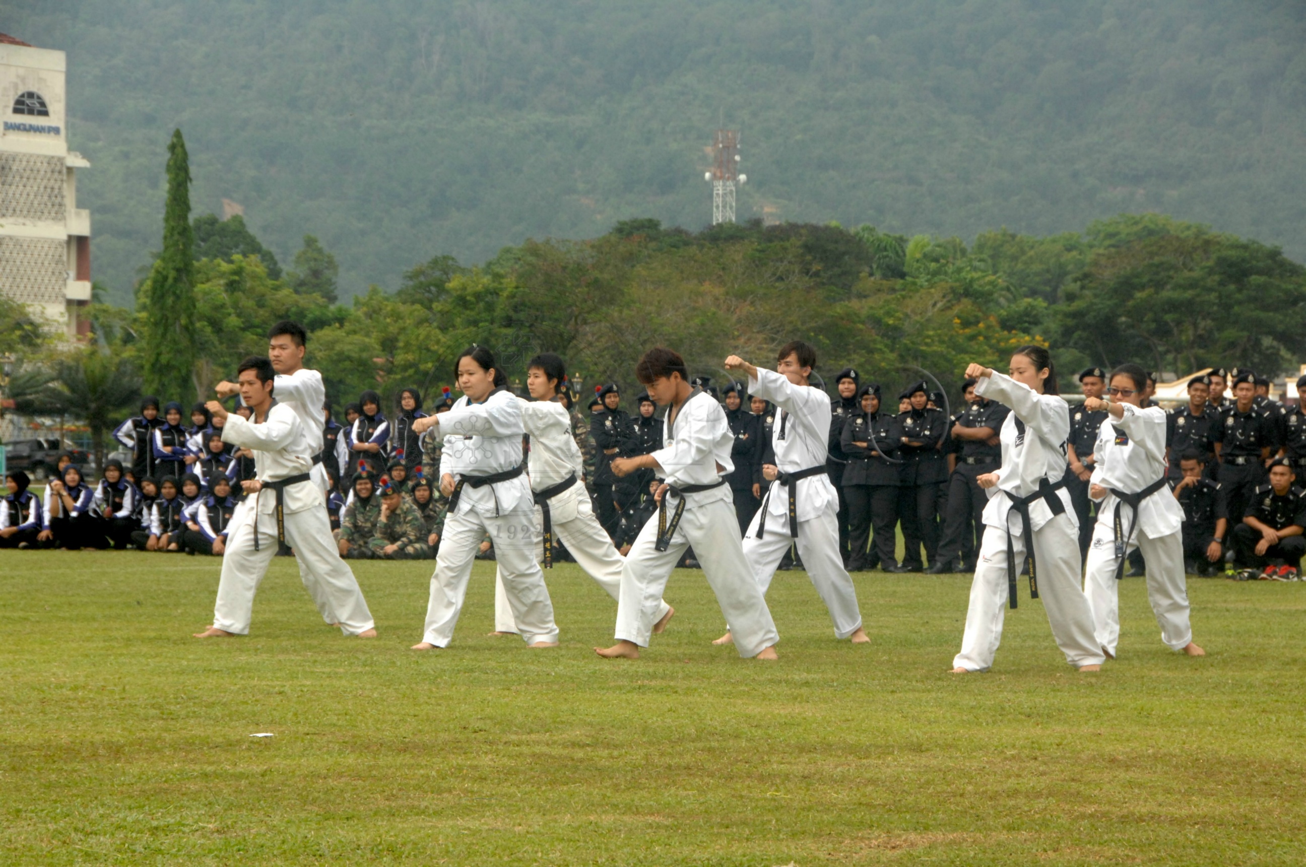 PRO 14 43 KKO IDA 0994